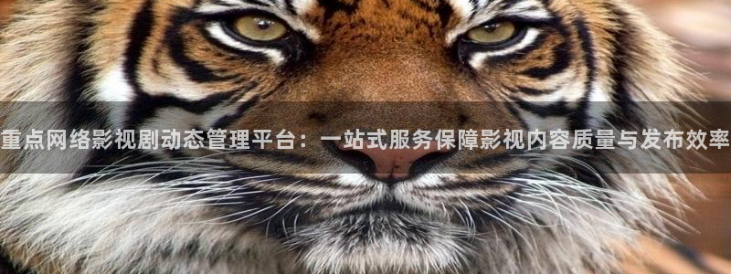 4080私人yy影院