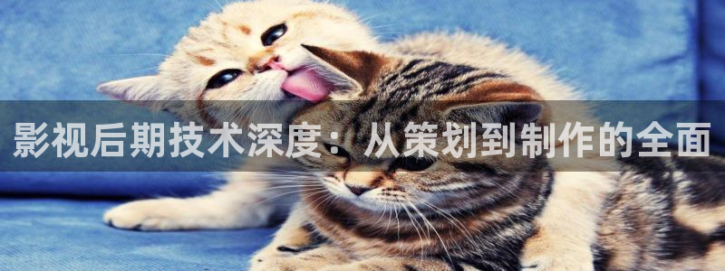 yy影院免费观看电视剧高清完整版