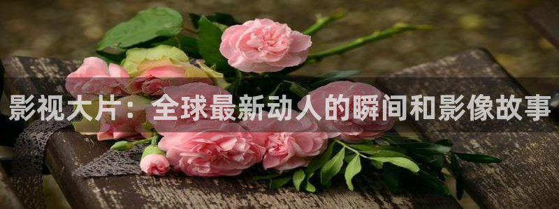6080yy影院免费观看电视剧大全