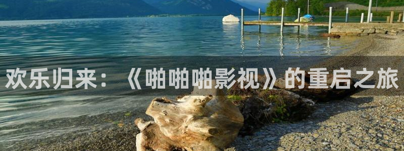 yy影院在线观看高清电影