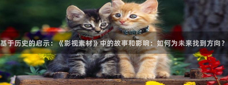 yy影院在线免费观看高清电视剧
