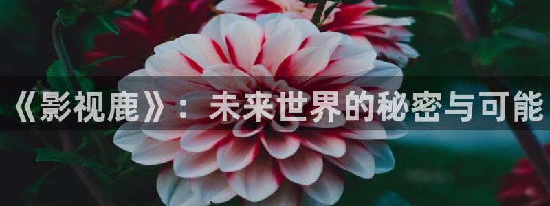 yy影院免费观看高清电视剧