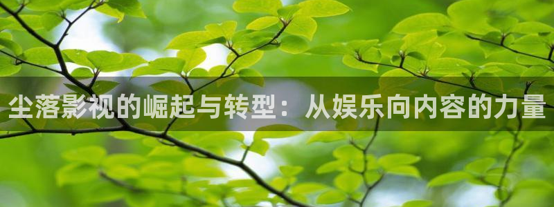 伊人yy影院