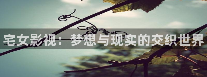 919yy影院在线观看