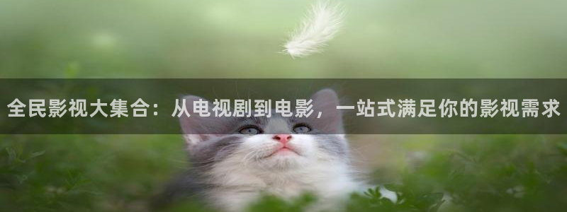 yy影院在线观看高清电视剧大全免费
