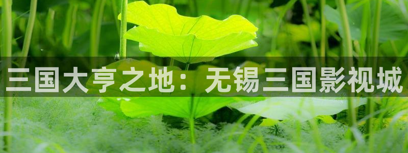 yy影院免费播放电视剧大全6090
